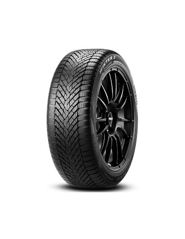 205/65 R 17 100H  PIRELLI WI