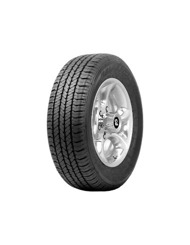 255/60 R 18 112T BRIDGESTONE ZO